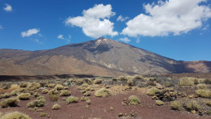 IMG-20210902-WA0002